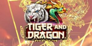 Đôi nét về tựa game Rồng Hổ