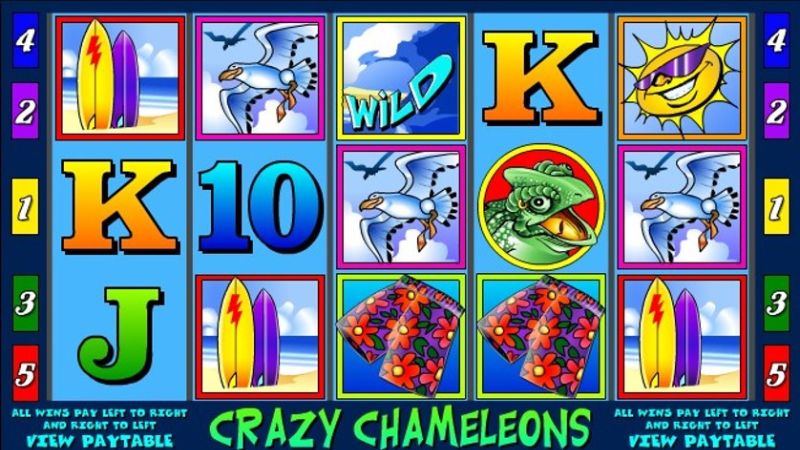 Trò Chameleon thiết kế đặc biệt